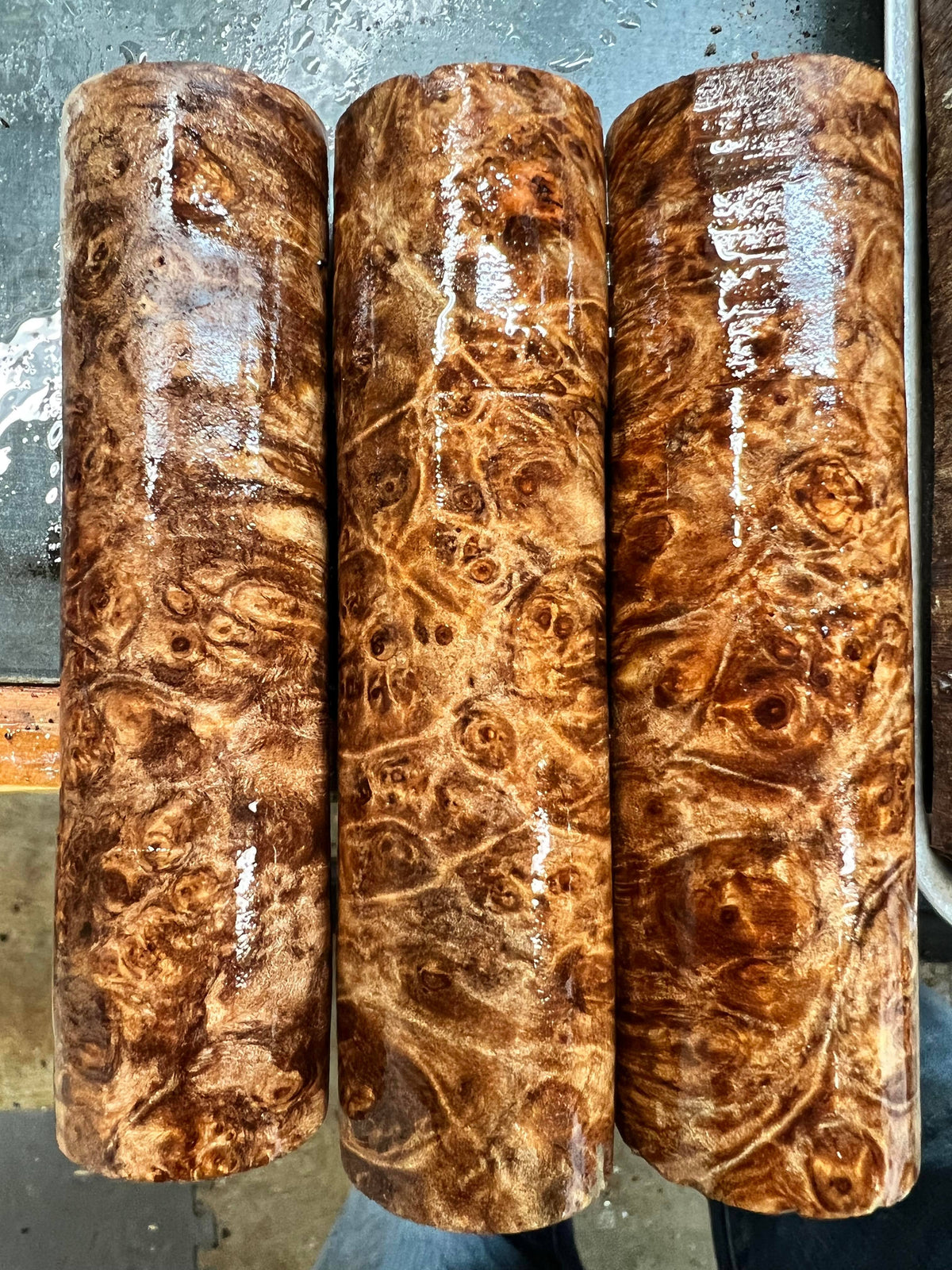Maple Burl