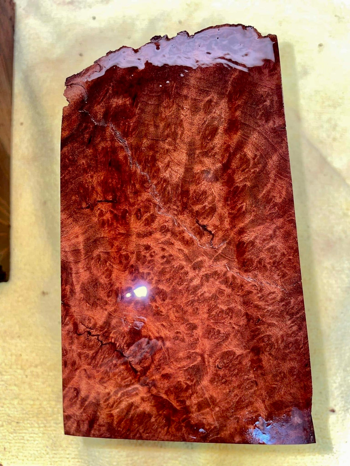 Redwood Lace Burl